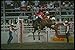 Produktbild 331044 Bareback A4 Photo Poster Print 10x8