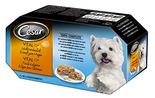 Preisvergleich Produktbild Cesar Vital 10 plus in Gelee, 4 Schalen, 600 g