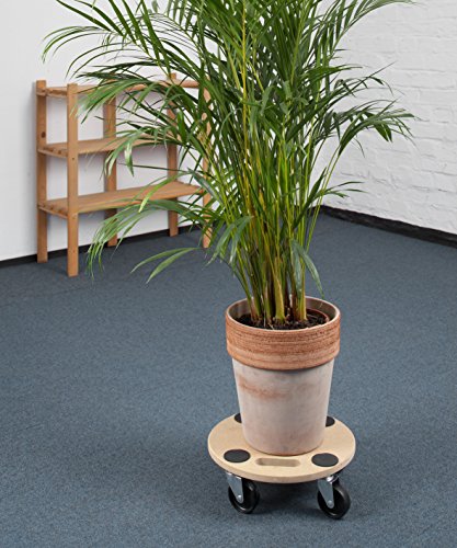 Meister Transportroller Ø 350 mm, 150 kg, MDF, PP, 821350 - 6