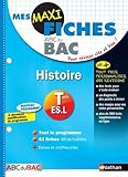 Image de Mes MAXI Fiches Histoire Terminale ES.L