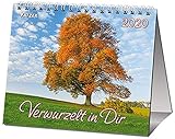 Verwurzelt in Dir 2020: Fotokalender zum Thema Bäume. Mit Bibelworten und Zitaten by 