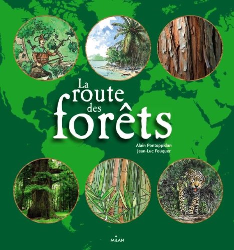 couverture de : La Route des for&ecirc;ts