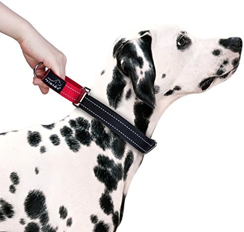 Martingale Dog Collar, PETBABAB No Pull Reflective Safe at Night Adjustable Nylon Walking Training Collar with Quick Release Buckle to Control Pet in Heavy Traffic - L in Red