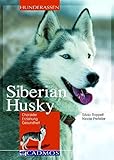 Image de Siberian Husky: Charakter - Erziehung - Gesundheit