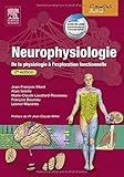 Neurophysiologie: De la physiologie à l'exploration fonctionnelle