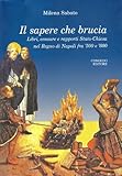 Image de Il sapere che brucia. Libri, censure e rapporti stato-chiesa nel Regno di Napoli fra '500 e '600