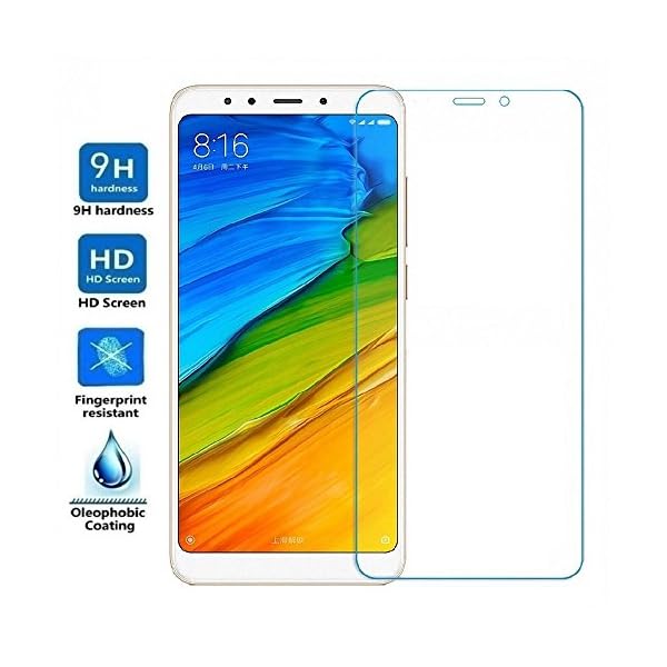 Electrónica Rey Protector de Pantalla para XIAOMI REDMI 5 PLUS, Cristal Vidrio Templado Premium