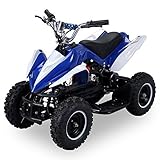Mini Elektro Kinder Racer 800 Watt ATV Pocket Quad (blau)