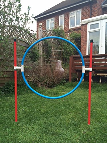 jessejump-3-piece-agility-set-due-to-amazons-new-postage-policy-we-can-only-post-this-item-to-mainland-uk-England-Wales-and-Scotland-only