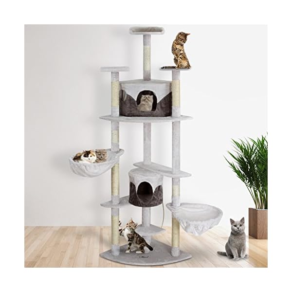leopet cat tree