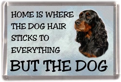 Gordon Setter Fridge Magnet "Home is Where The Dog Hair Sticks to Everything BUT The Dog"