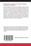 Image de Análisis del crecimiento del cultivo de papa fertilizado con fósforo: Una herramienta para mejorar la fertilización
