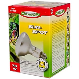 Dragon - Reptilien Basking Spotstrahler - Sun Spot 75 Watt