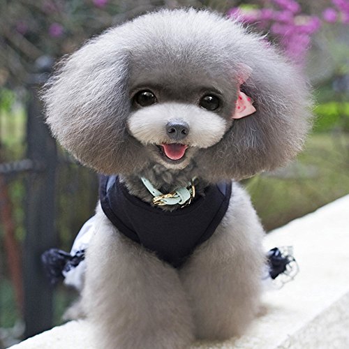 Pet-Dress-SymbolLife-Pet-Dog-Studded-Flickering-Lace-Princess-Wedding-Dress-Bowknot-Only-for-Small-Dogs