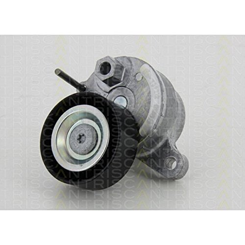 Preisvergleich Produktbild Triscan Umlenkrolle, 8641 232025