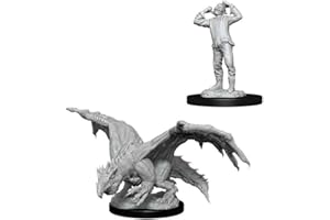 DUNGEONS & DRAGONS WizKids WZK90029 Accessories