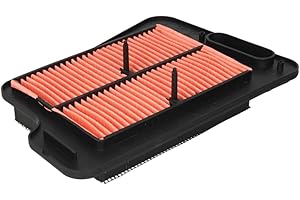 101_OCTANE Inserto Filtro Aria Per Suzuki Burgman 400 2007-