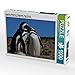 Produktbild Magellan Pinguine, Patagonien, Argentinien 1000 Teile Puzzle quer