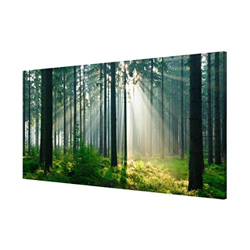 Apalis 108757 Magnettafel Enlightened Forest Memoboard Design Quer Metall Magnet Pinnwand Motiv Wand Stahl Küche Büro, 37 x 78 cm - 3