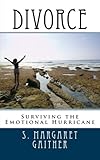 Image de Divorce: Surviving the Emotional Hurricane (English Edition)