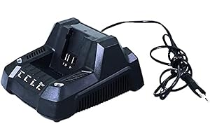 Ikra 17180983-1 Batteria 40V Caricatore rapido Stazione di Carica con indicatore a LED, ONE FOR ALL