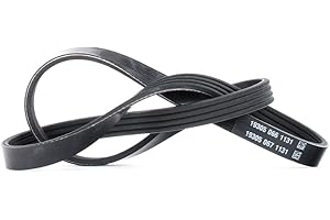 Dayco 4PK855 Correa Trapecial Poli V