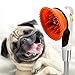 Produktbild DAN Haustier Duschkopf, Hund Waschen Sprayer + Massagegerät + Grooming 3 In 1 Wasser Sparen Handheld Bad Werkzeug Shampoo Pinsel