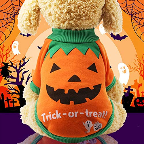 qumingchenba Halloween Funny Two-Legged Pet Clothes Pumpkin L