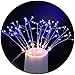 Produktbild VNEIRW Feuerwerk Lichterkette Leuchtender 120 LEDs Gypsophila Licht USB IP67 Kupferdraht Lichter mit Fernbedienung - für Jar, Weihnachtsbaum, Weinflasche, Geschenk, Hochzeit, Zimmer Dekoration (Bunt)