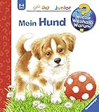 Mein Hund (Wieso? Weshalb? Warum? junior, Band 41)