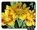 Produktbild Sunny Spring Day Mauspad, Mousepad (Blumen Mauspad) #028