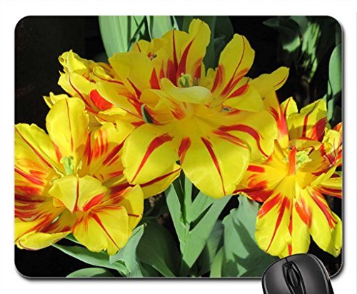 Preisvergleich Produktbild Sunny Spring Day Mauspad, Mousepad (Blumen Mauspad) #028