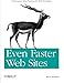 Even Faster Web Sites: Performance Best Practices for Web Developers by Steve Souders