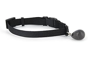 PetSafe - Clé De Collier Magnétique - Accès Contrôlé - Sûr, Pratique, Sécurisé, Alternative Au Microchip pour Chats - Compatible avec Les Chatières 400 & 900