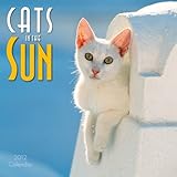 Image de Cats in the Sun 2012 Calendar
