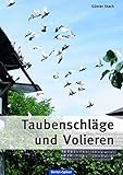 Image de Taubenschläge und Volieren