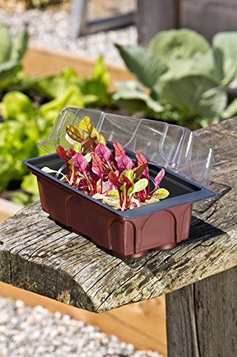 Windhager Zimmer-Gewächshaus Mini inklusiv 8 Quelltabs, terracotta / anthrazit, 11 x 19 x 6 cm, 06842 - 3