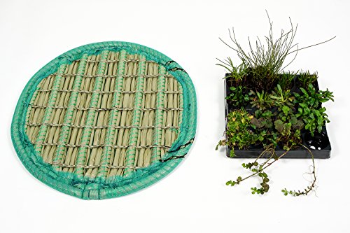 Pflanzinsel inkl. 15 winterharten Teich-Pflanzen, rund, 60 cm – schwimmende Teichinsel mit Teichbepflanzung – Algen reduzieren in Koi-Teich durch Schwimmpflanzen auf Pflanzeninsel