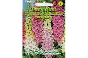 N.L.Chrestensen Riesenfingerhut Großblumige Prachtmischung Digitalis purpurea gigantea