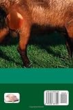 Image de Numerology for Capricorn: The Forecasts: Volume 10