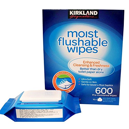 (10 PACK) - N/Baby Flushable Family Wipes | 220g | 10 PACK - SUPER SAVER - SA...