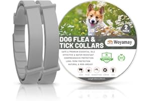Woyamay Collare Antiparassitario per Cani, Collare Antipulci Cane Regolabile Resistente All'acqua, 8 Mesi di Protezione Collare Antizecche per Cani per Tutti i Tipi di Cani, Grigio (2 Pezzi)