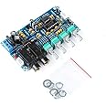 IOTaudios PT2399 Digital Microphone Amplifier Board Karaoke Reverberation Board Karaoke OK Amplifier Module Dual AC12V