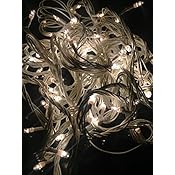 Blackberry Overseas Warm White Colored Decorative Rice LED Lights, 7 Metre