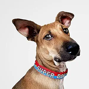 That Dog In Tuxedo Superdog Collar for Dogs - Adjustable and Strong (Blue/Red, M-L)