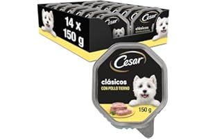 Cesar Nourriture Humide pour Chien Adulte Landragout, 14 Bols, 14 x 150 g – Nourriture pour Chien Humide de qualité supérieure avec Poulet, légumes et Riz Brun