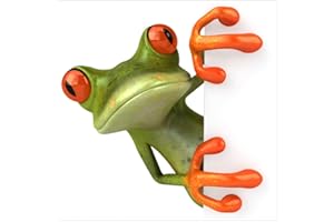 JM-DÉCO Sticker boites aux Lettres déco Grenouille 30x30cm