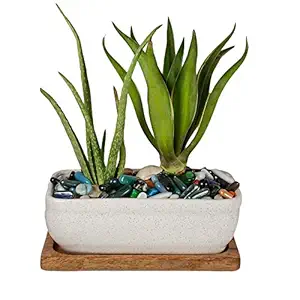 Lasaki Rectangle Ceramic Succulent Cactus Planter Pots with Wooden Plate for Home, Indoor, Outdoor , Diwali Decoration Plant Container Set (Color: white-rec002, Plate: Antique wrp1)