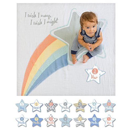 lulujo Baby First Year Milestone Blanket and Cards Set, I Wish I May