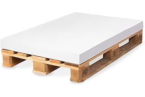 ‎TEXDEKO TexDeko Palettenkissen Schaumstoff 120x80x12cm Härtegrad RG 22 Mittelhart gemütliches Matratzenkissen ÖKO-TEX Zertifiziert Hundekissen Palettenauflage, Made in EU